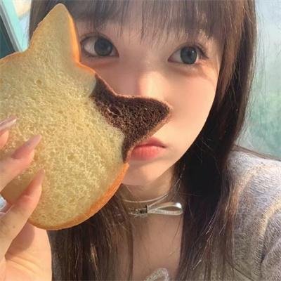 城市探险者